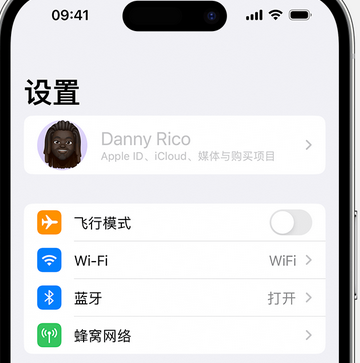 沙市appleID维修服务iPhone设置中Apple ID显示为灰色无法使用 