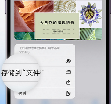 沙市apple维修中心分享iPhone文件应用中存储和找到下载文件