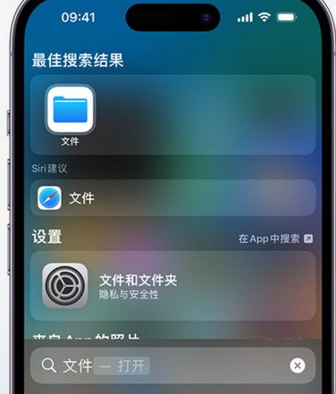 沙市apple维修中心分享iPhone文件应用中存储和找到下载文件 