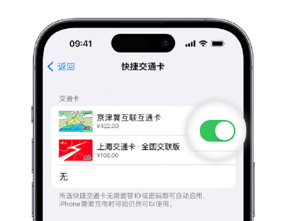 沙市apple维修点分享iPhone上更换Apple Pay快捷交通卡手绘卡面 