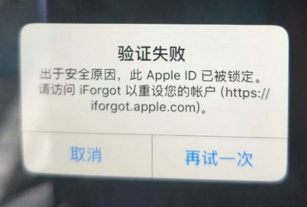 沙市iPhone维修分享iPhone上正常登录或使用AppleID怎么办 