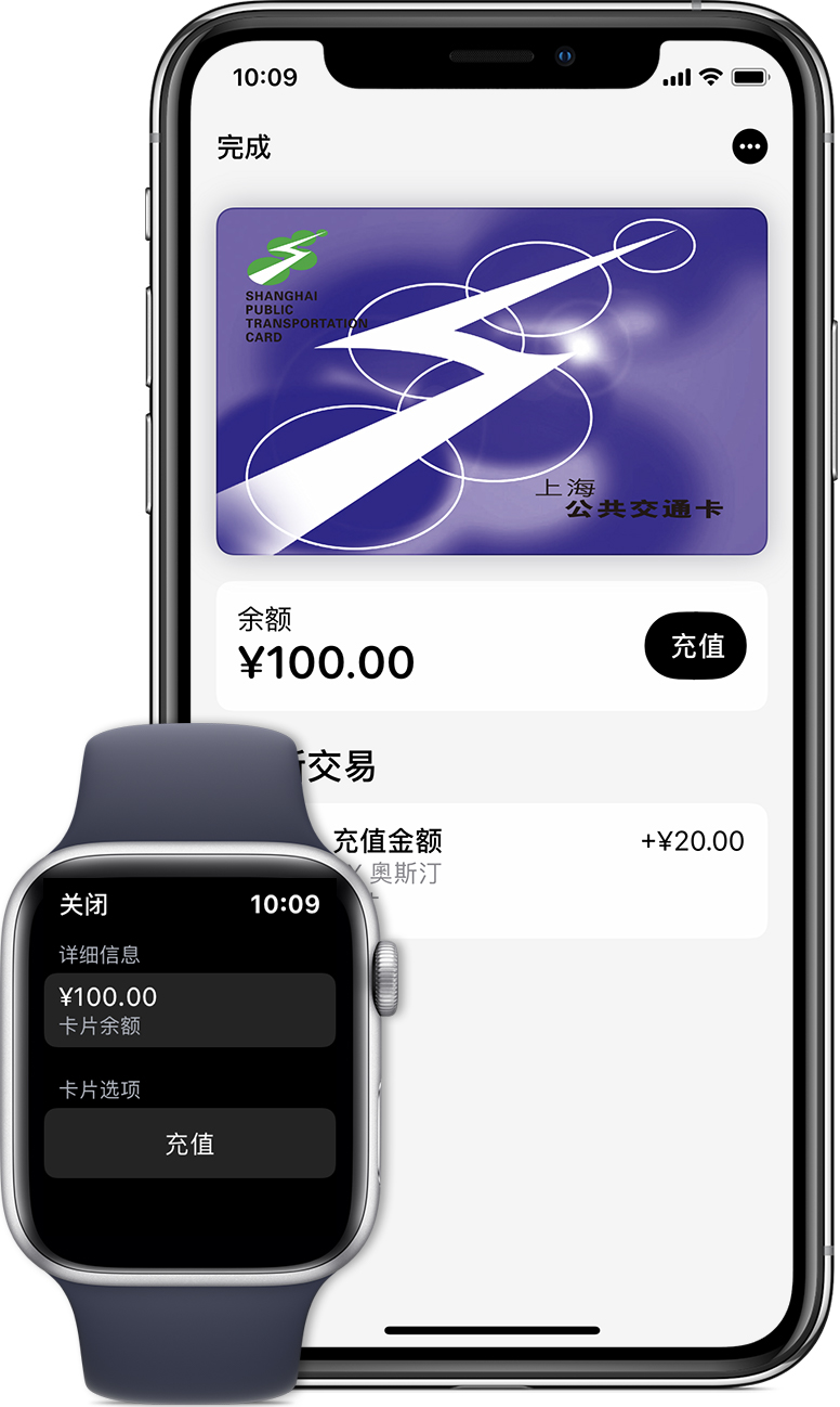 沙市苹果手机维修分享:用 Apple Pay 刷交通卡有哪些优势？如何设置和使用？ 