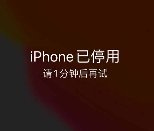 沙市苹果手机维修分享:iPhone 显示“不可用”或“已停用”怎么办？还能保留数据吗？ 