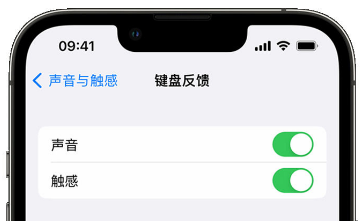 沙市苹果手机维修分享iPhone 14触感键盘使用方法 