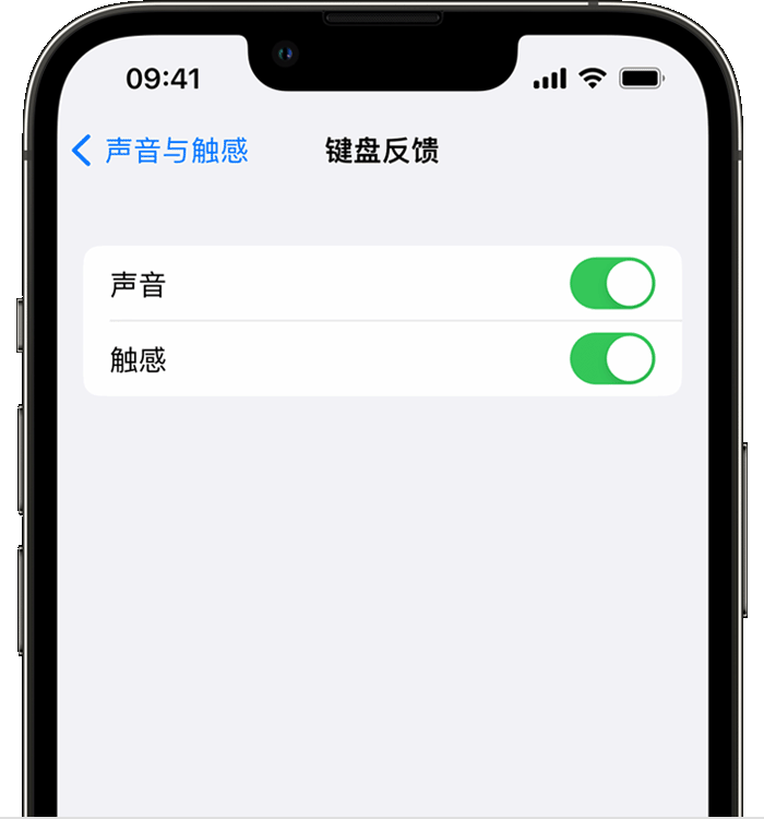 沙市苹果14维修店分享如何在 iPhone 14 机型中使用触感键盘 