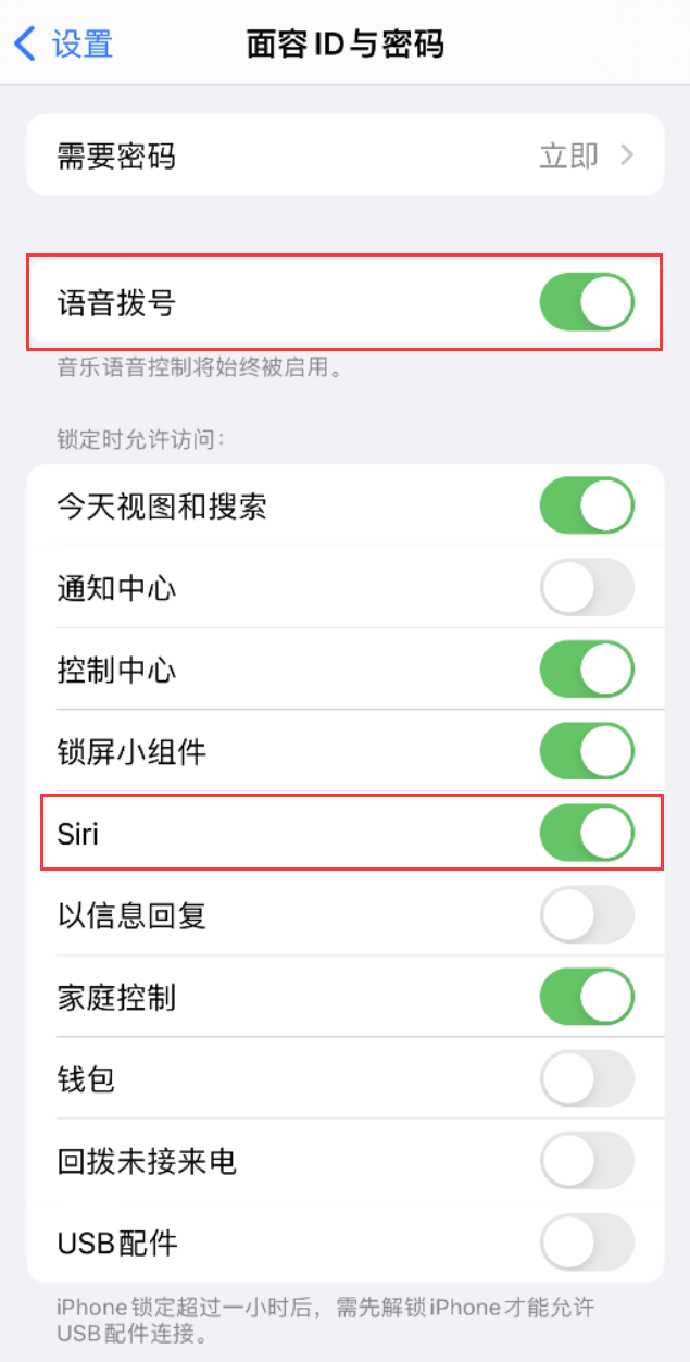 沙市苹果维修网点分享不解锁 iPhone 的情况下通过 Siri 拨打电话的方法 