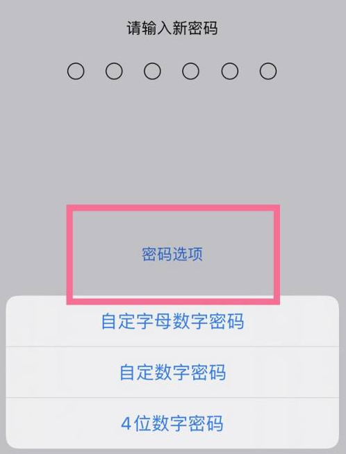 沙市苹果14维修分享iPhone 14plus设置密码的方法 