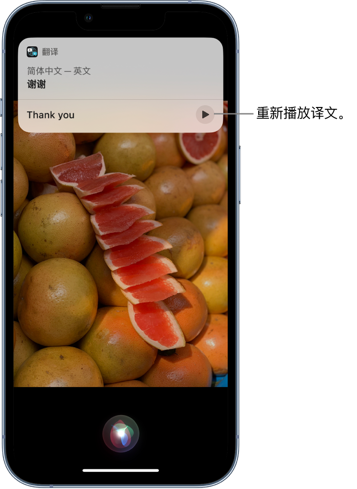 沙市苹果14维修分享 iPhone 14 机型中使用 Siri：了解 Siri 能帮你做什么 