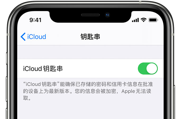 沙市苹果手机维修分享在 iPhone 上开启 iCloud 钥匙串之后会储存哪些信息 